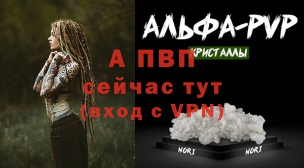 ECSTASY Богданович