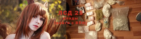 ECSTASY Богданович