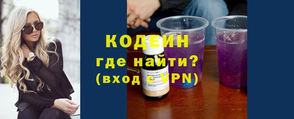 ECSTASY Богданович