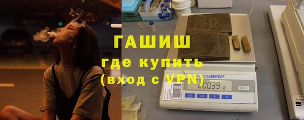 ECSTASY Богданович