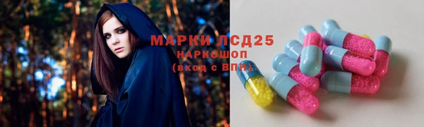 ECSTASY Богданович