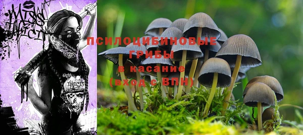 скорость Богородск