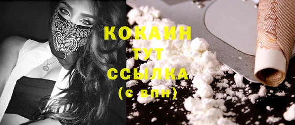 ECSTASY Богданович